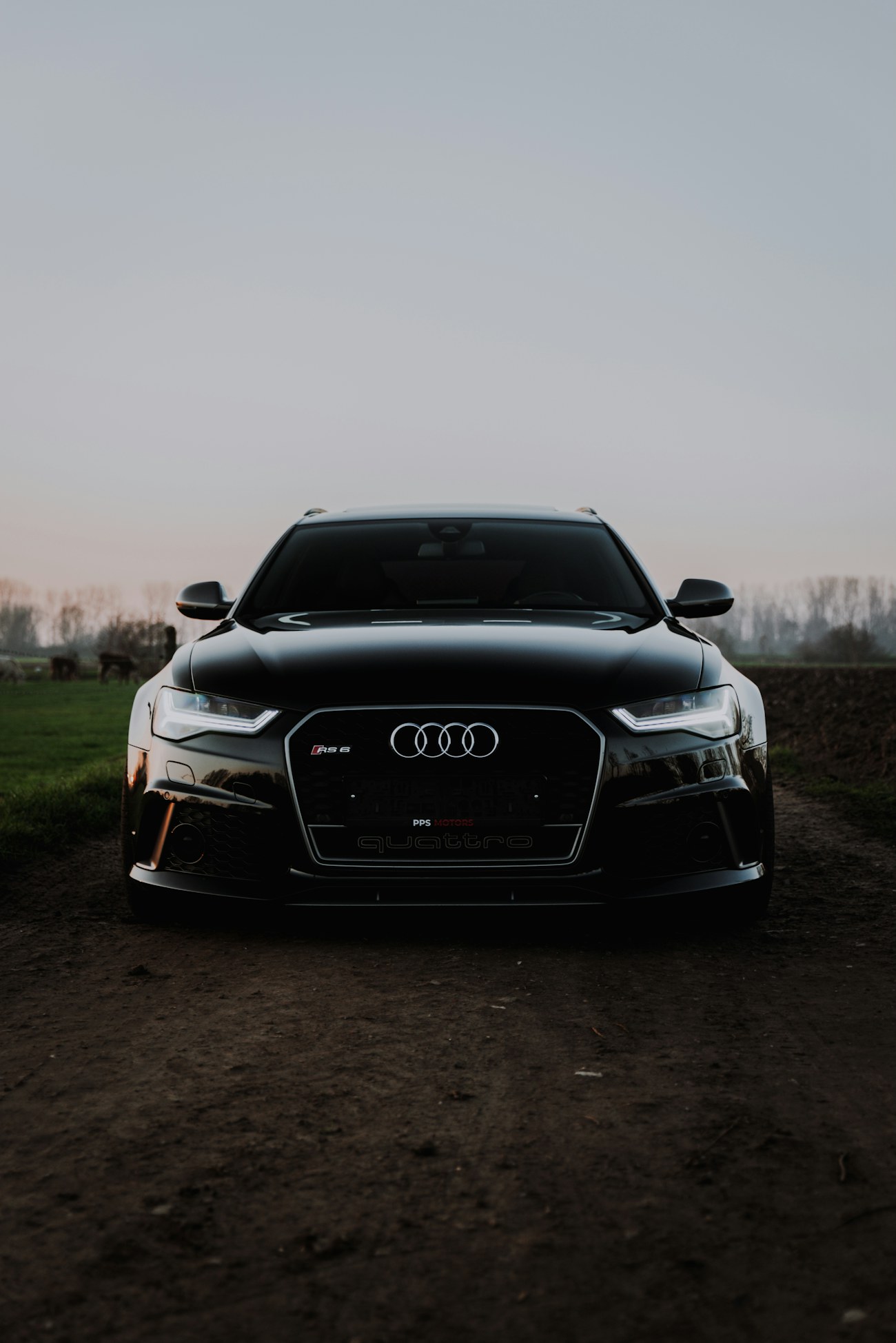 Audi RS6 Avant, вид сбоку, тёмный кузов